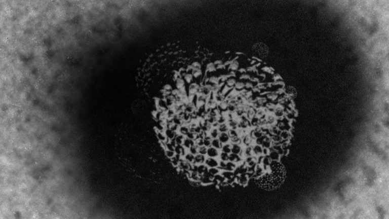 全国地方テレビ局　新型コロナウイルス感染症 (COVID-19)　特設Webサイト設置数調査
