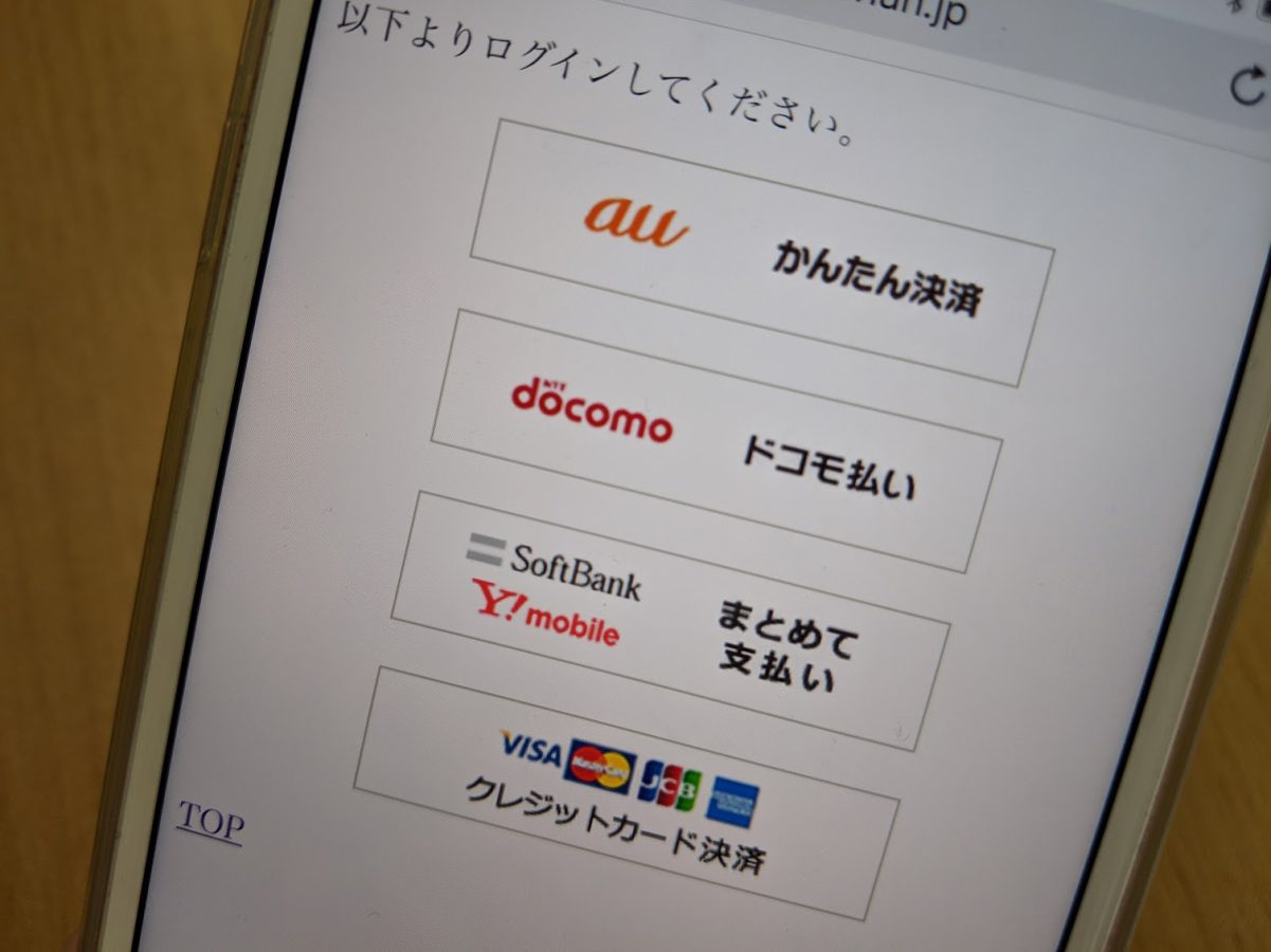 キャリア公式メニュー キャリア課金システム開発 クレジットカードコンテンツ課金 株式会社デジタルファーム キャリア公式メニュー キャリア課金システム開発 クレジットカードコンテンツ課金 株式会社デジタルファーム