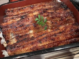 2024年度新卒採用を実施します。