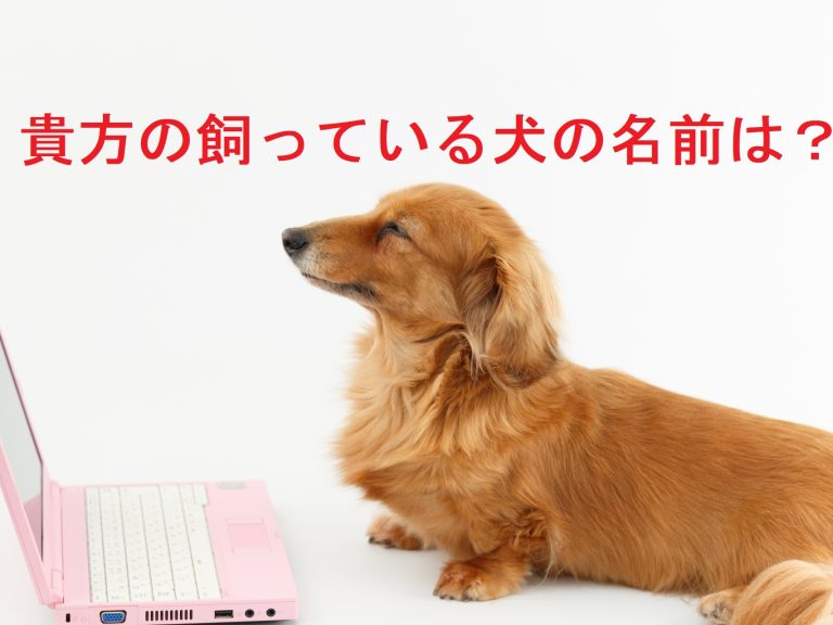 これをやると絶対利用率が下がる会員制サイトのパスワードリマインダー設計