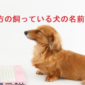 これをやると絶対利用率が下がる会員制サイトのパスワードリマインダー設計