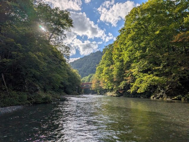 先週遅めの夏休みを頂きました（by社長）

屈斜路湖を望む（誰トク？）

鮭二本釣りました。もはや絶滅危惧種？

アメマス。

完璧に風、並のない屈斜路湖。年に数日しかないです。

最高の夏休みでした！